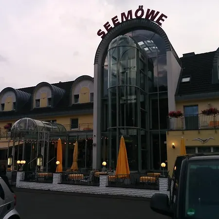 Seemöwe