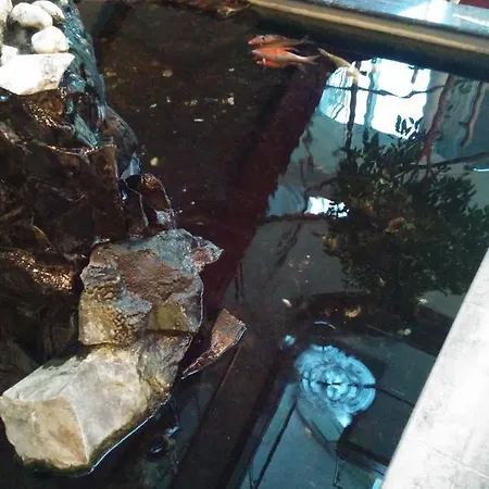 Hotell Seemöwe Simmerath