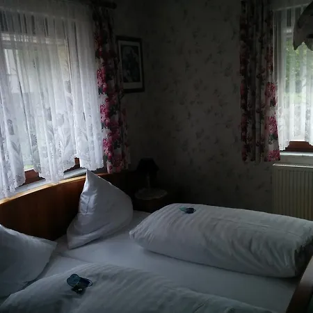 Seemöwe 2*