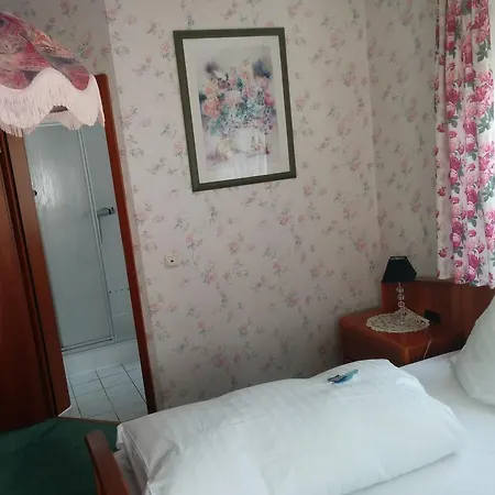 Seemöwe