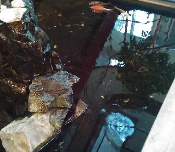 Hotel Seemöwe Simmerath